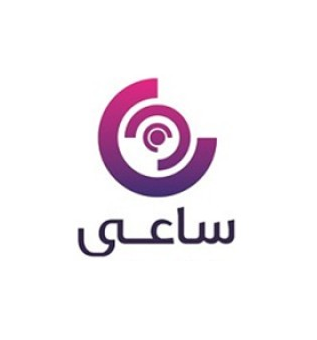 SAEI Group logo